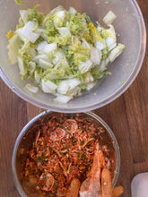 Load image into Gallery viewer, *NEW* Introduction to lacto fermented vegetables