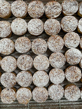 Load image into Gallery viewer, Almond Frangipane topped mince pies